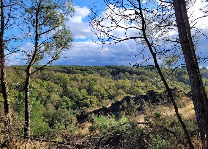 Gite La Lisiere, En Broceliande