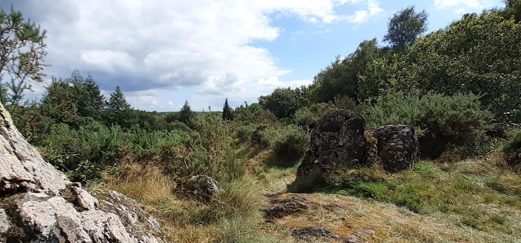 Holiday home La Lisiere, En Broceliande Neant-sur-Yvel