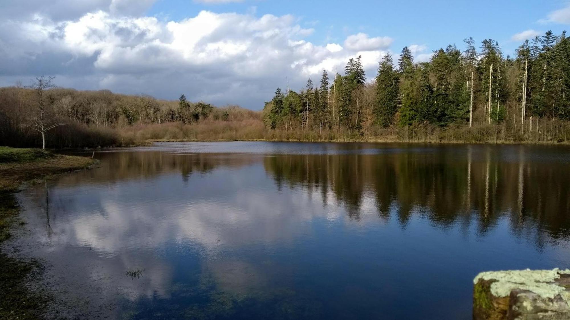 La Lisiere, En Broceliande Holiday home