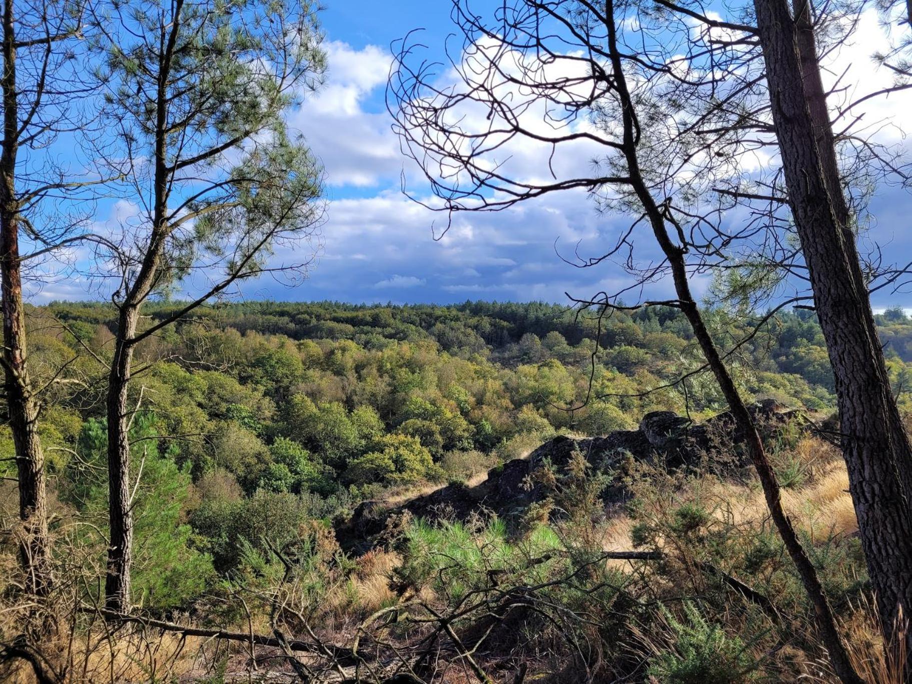 La Lisiere, En Broceliande Holiday home Neant-sur-Yvel