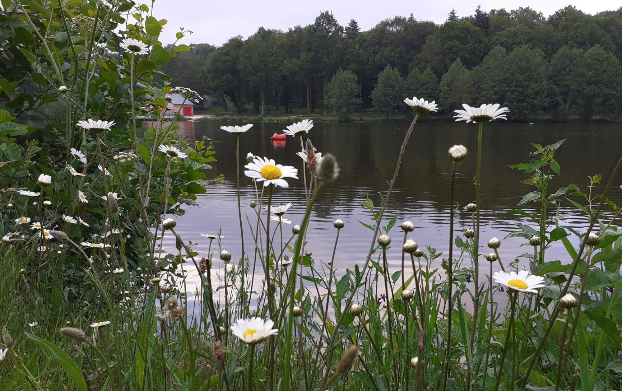 La Lisiere, En Broceliande *