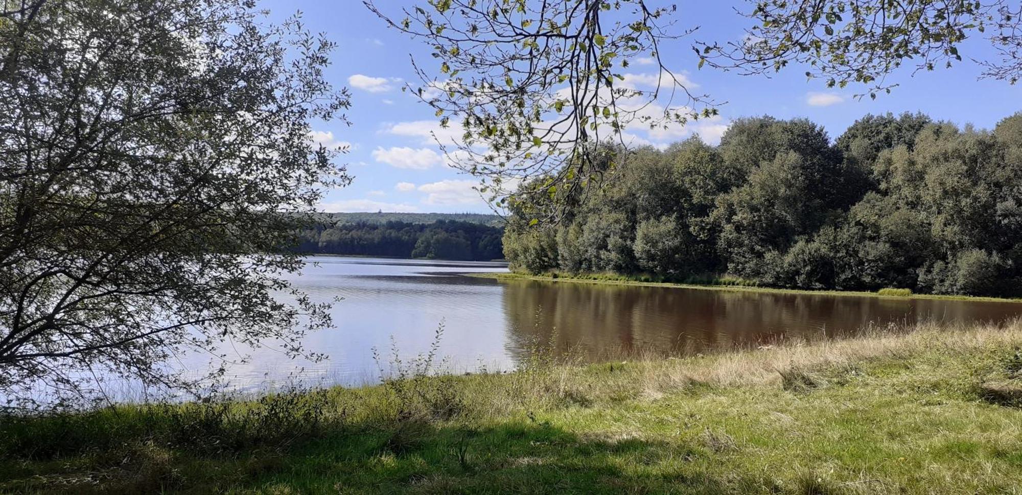 La Lisiere, En Broceliande * Neant-sur-Yvel