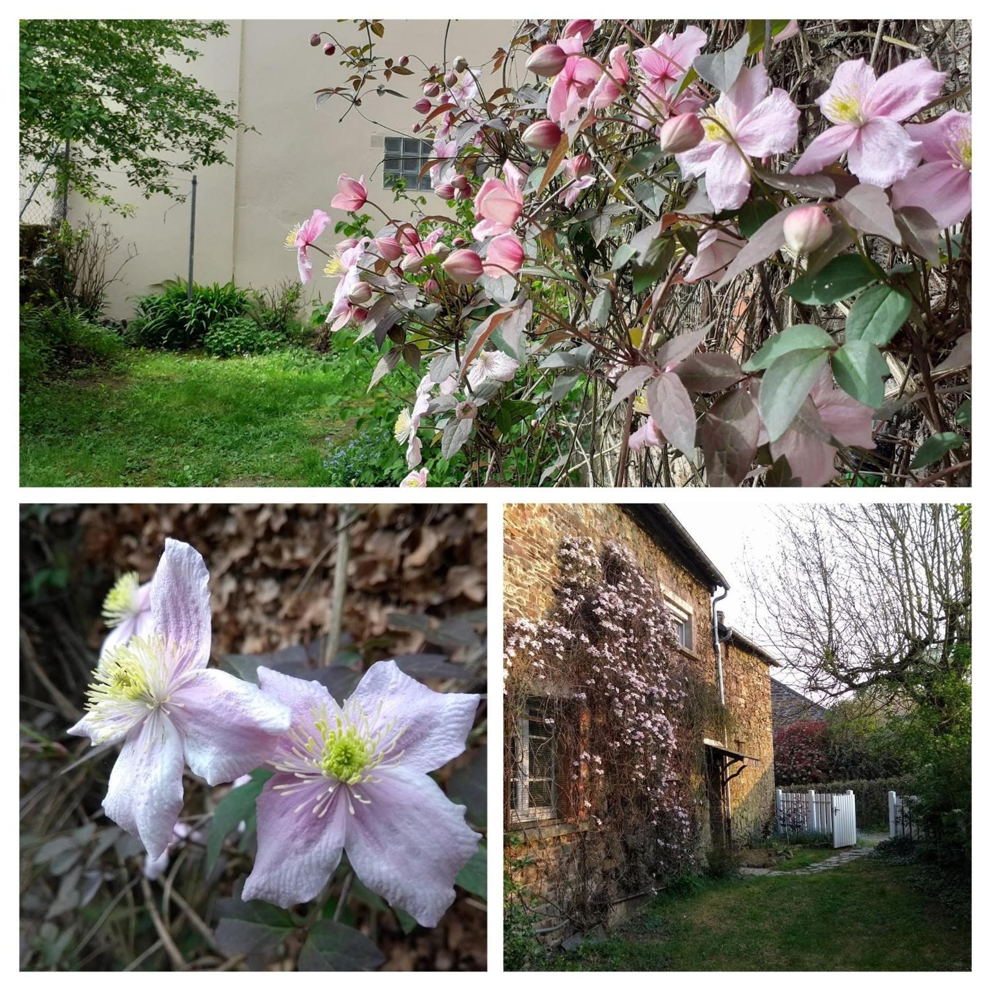 Holiday home La Lisiere, En Broceliande
