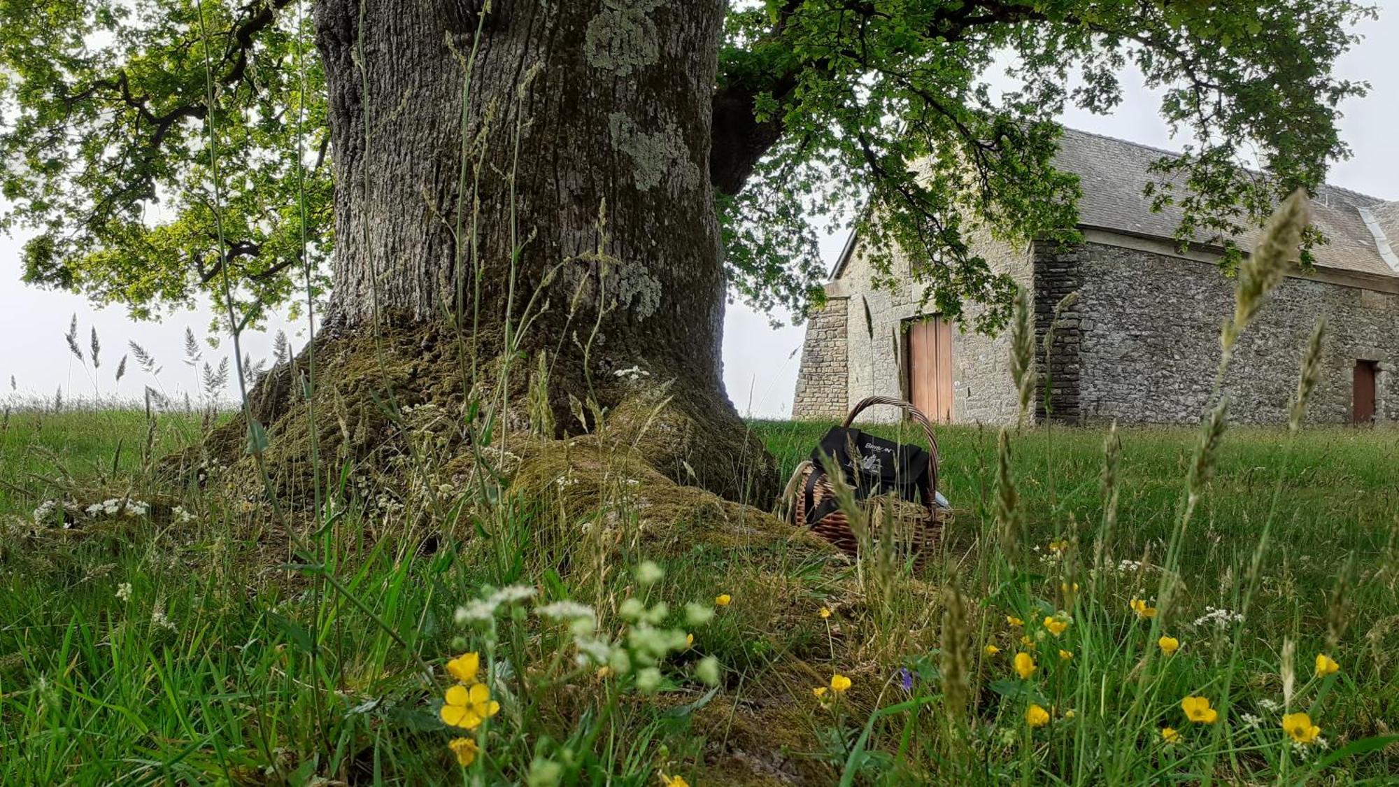 La Lisière, En Brocéliande