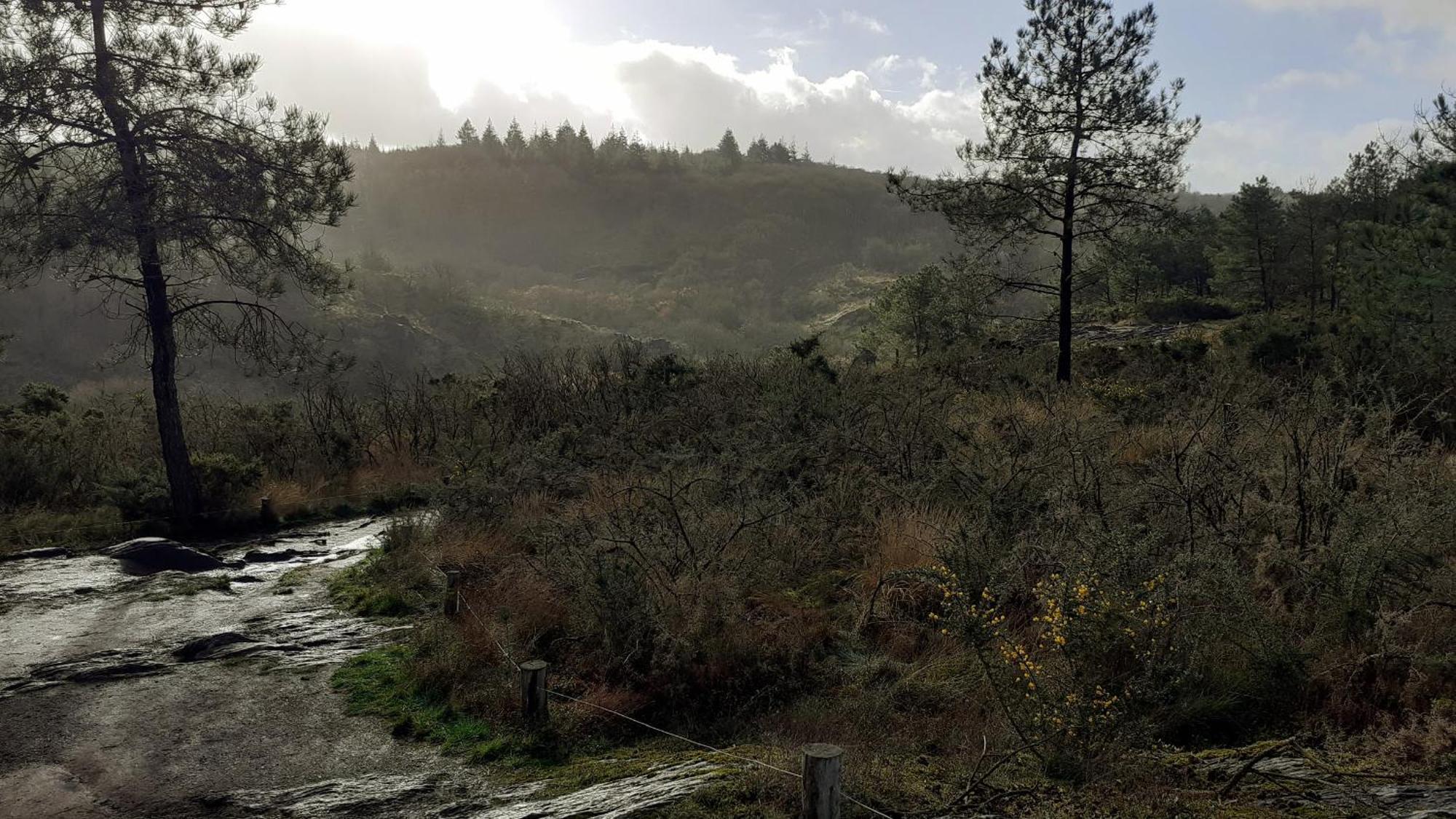 Hébergement de vacances La Lisière, En Brocéliande *